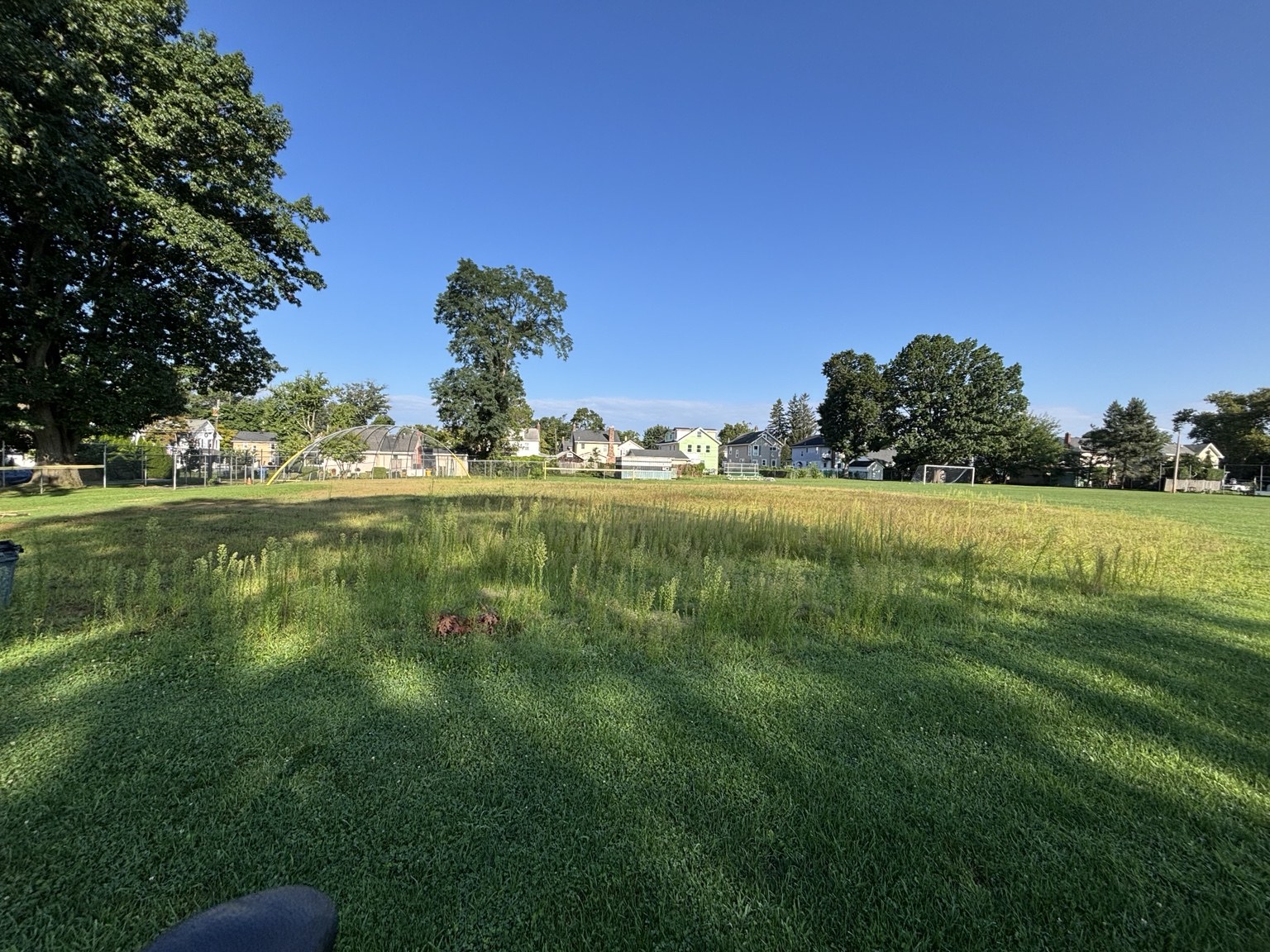 Before restoration: weeds and overgrowth covering the softball infield
