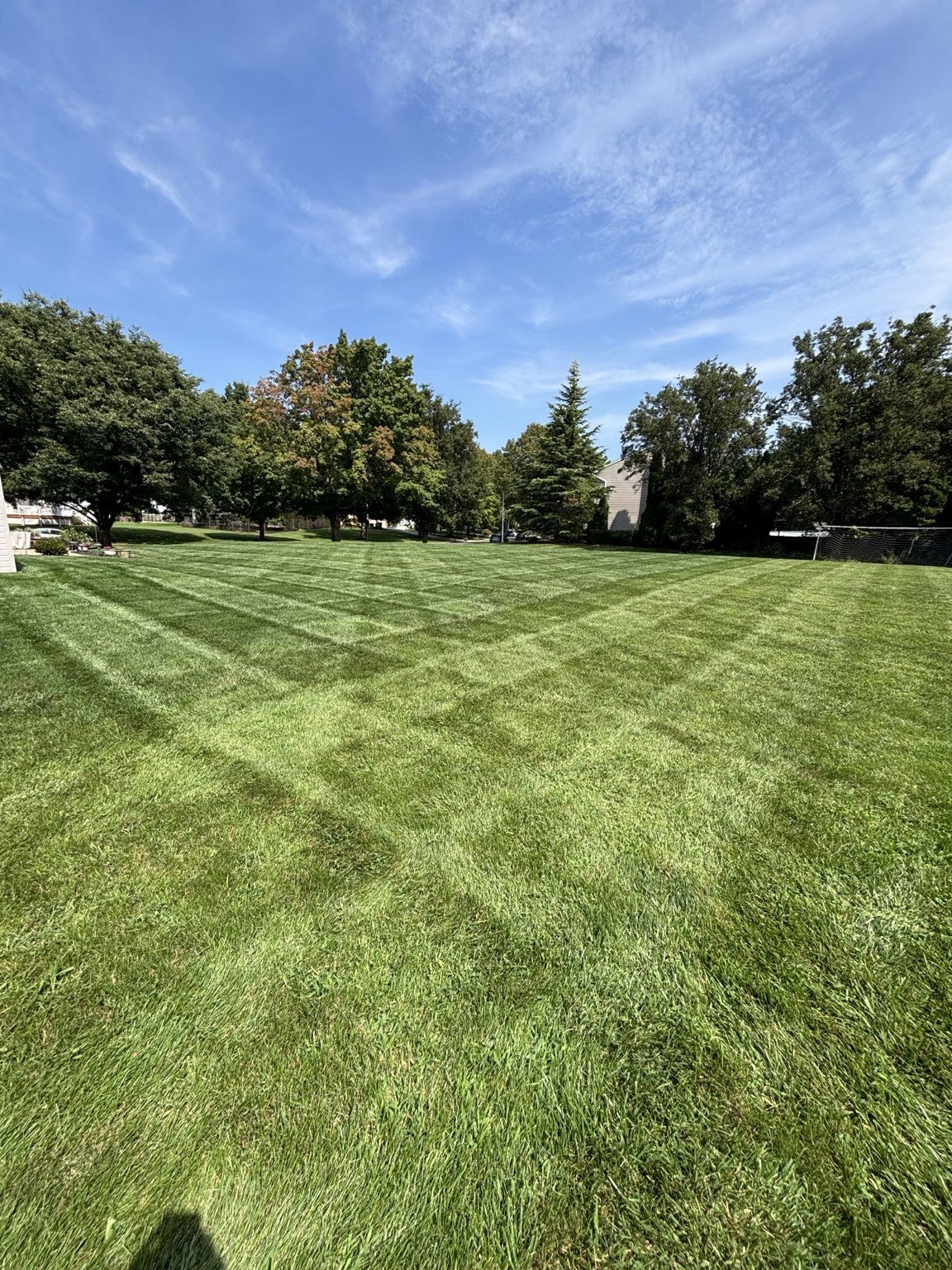 A Bertscha Lawn Care lawn with a crisp crosscut mowing pattern